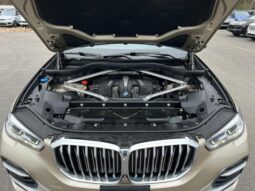 
										2019 BMW X5 full									
