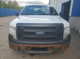 
										2013 Ford F150 full									