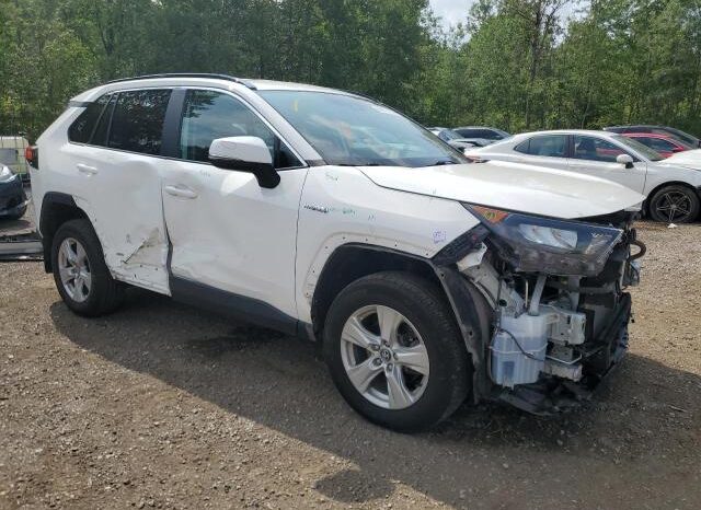 
								2019 Toyota Rav4 full									