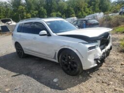 
										2023 BMW X7 full									