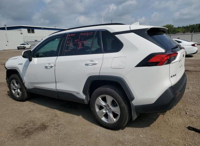 
								2019 Toyota Rav4 full									