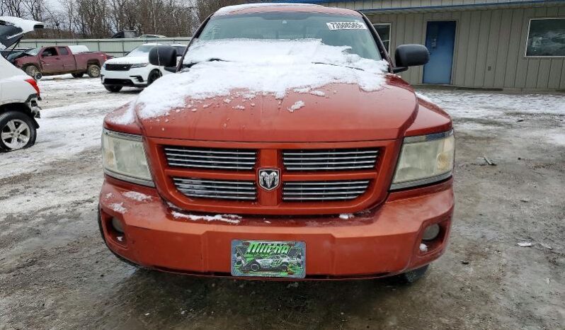 
								2008 Dodge Dakota full									
