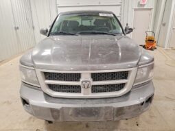 
										2010 Dodge Dakota full									