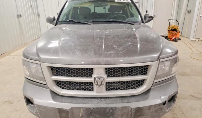 
								2010 Dodge Dakota full									