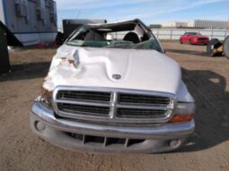 
										1998 Dodge Dakota full									