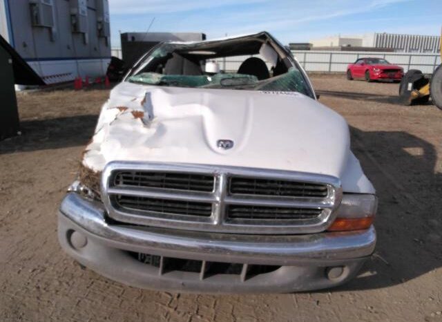
								1998 Dodge Dakota full									