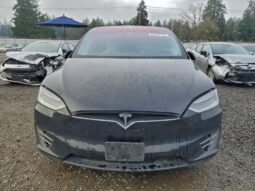 
										2019 Tesla Model x full									