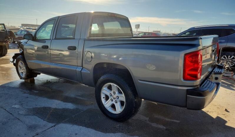 
								2011 Dodge Dakota full									