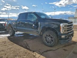 
										2023 Ford F350 full									