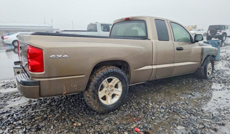 
								2010 Dodge Dakota full									