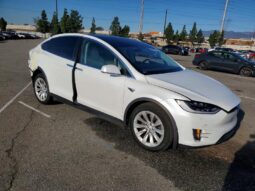 
										2019 Tesla Model x full									