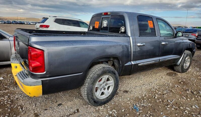 
								2007 Dodge Dakota full									