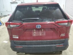 
										2019 Toyota Rav4 full									