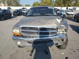 
										2002 Dodge Dakota full									