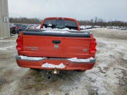 
										2008 Dodge Dakota full									