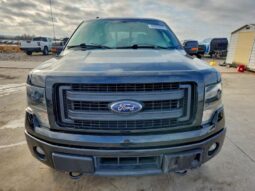 
										2014 Ford F150 full									