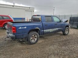 
										2005 Dodge Dakota full									
