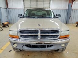 
										2002 Dodge Dakota full									