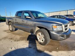 
										2011 Dodge Dakota full									