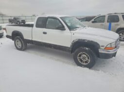 
										1997 Dodge Dakota full									