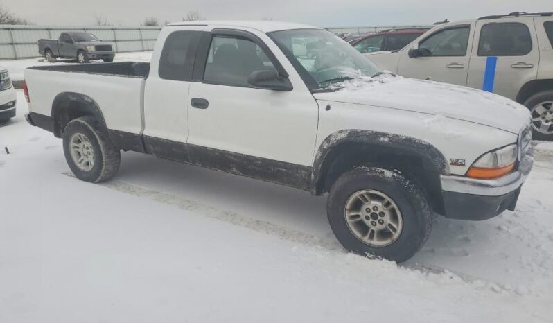 
								1997 Dodge Dakota full									