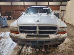 
										2001 Dodge Dakota full									