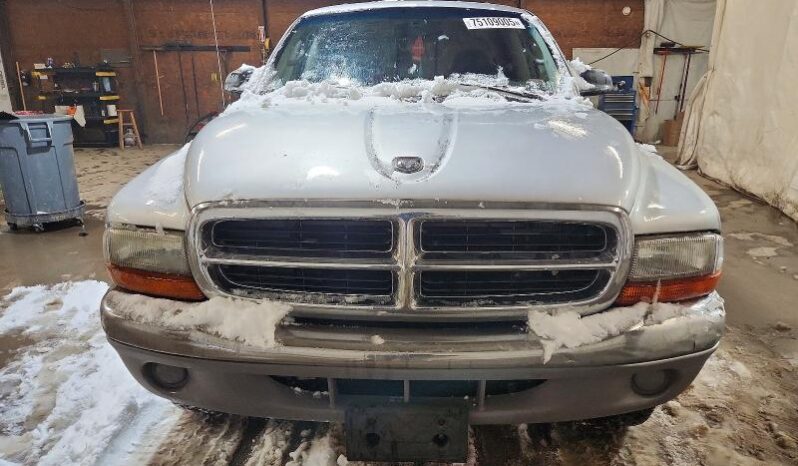 
								2001 Dodge Dakota full									