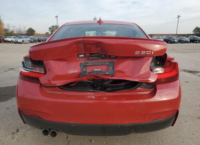 
								2017 BMW 2 series full									