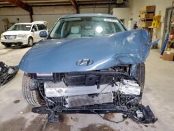 
										Hyundai IONIQ 5 full									
