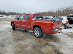 
										2008 Dodge Dakota full									