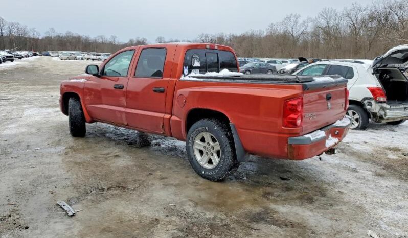 
								2008 Dodge Dakota full									