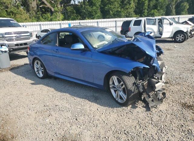 
								2014 BMW 2 series full									