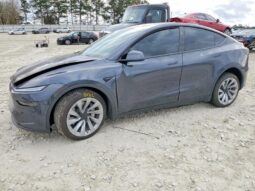 
										Tesla Y Juniper full									