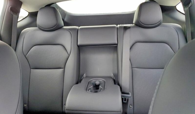 
								Tesla Y Juniper full									