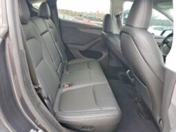 
										Tesla Y Juniper full									