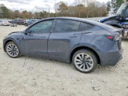 
										Tesla Y Juniper full									