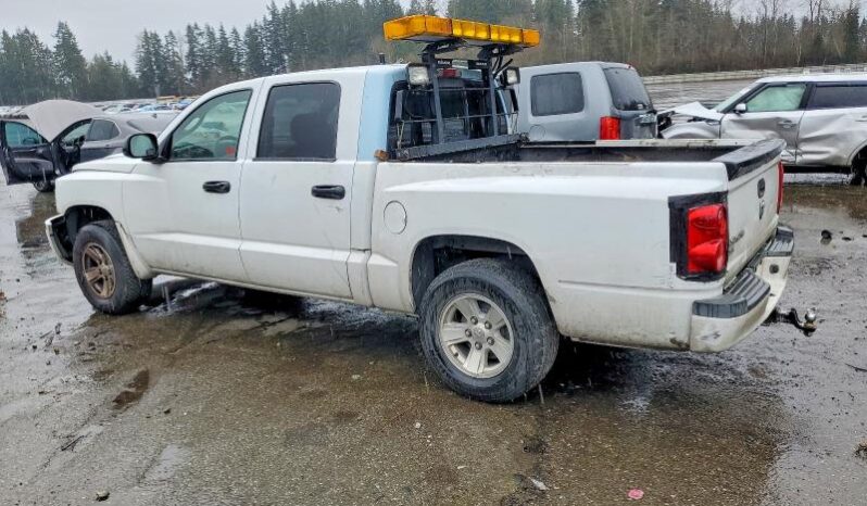 
								2008 Dodge Dakota full									