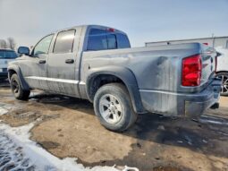 
										2008 Dodge Dakota full									