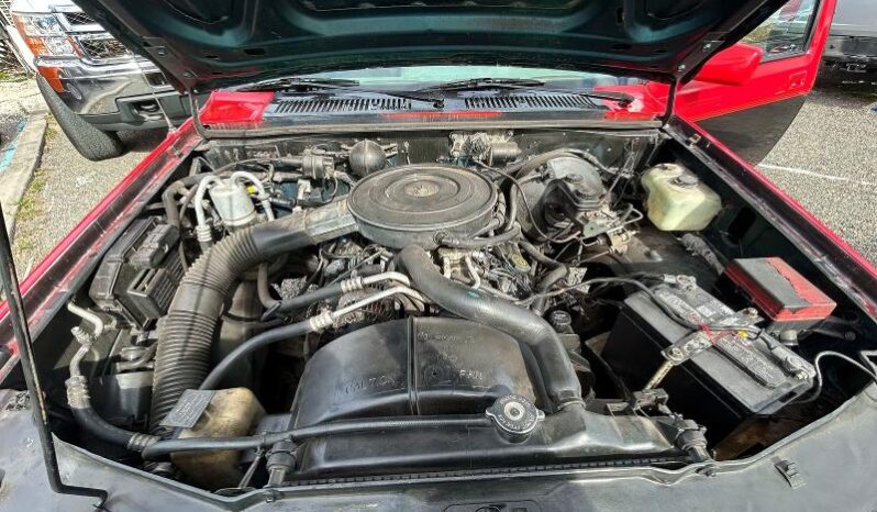 
								1994 Dodge Dakota full									