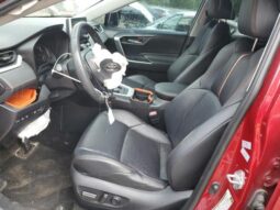 
										2019 Toyota Rav4 full									