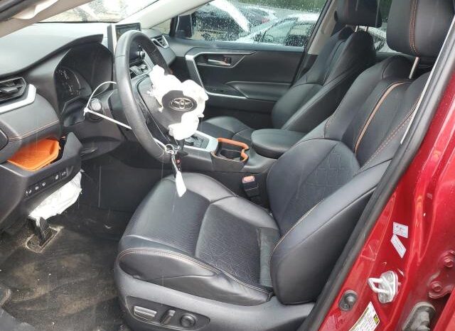 
								2019 Toyota Rav4 full									
