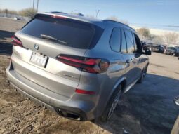 
										2024 BMW X5 full									
