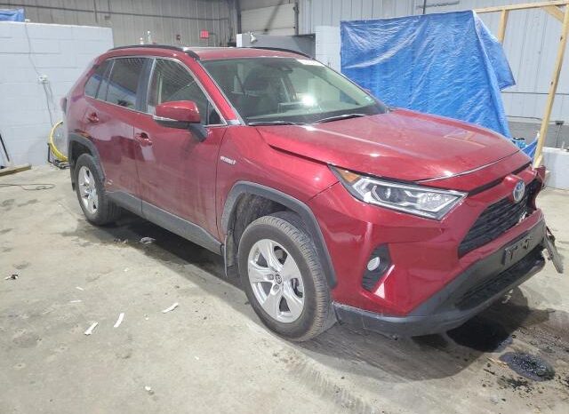 
								2019 Toyota Rav4 full									