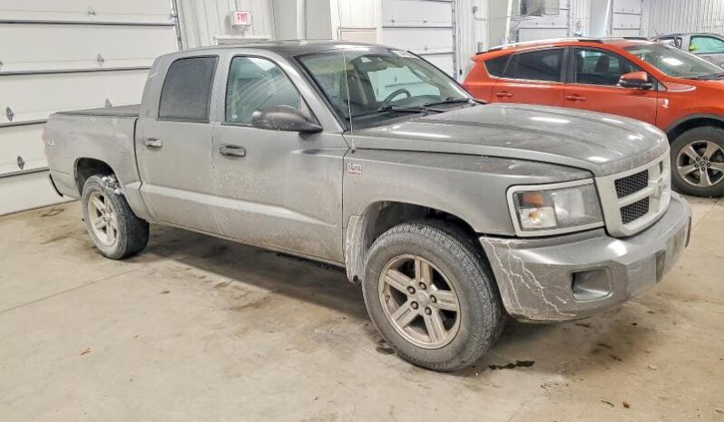 
								2010 Dodge Dakota full									