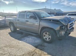
										2005 Dodge Dakota full									