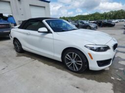 
										2019 BMW 2 series full									