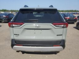 
										2019 Toyota Rav4 full									