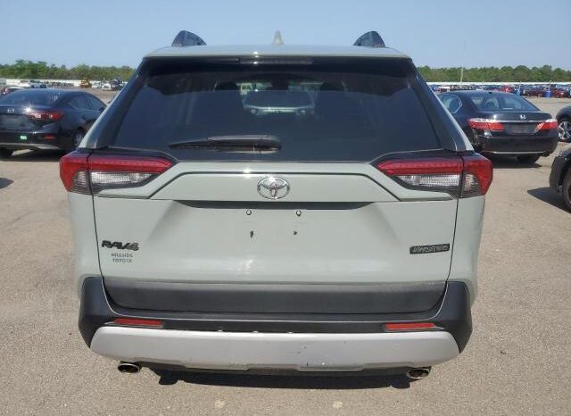 
								2019 Toyota Rav4 full									