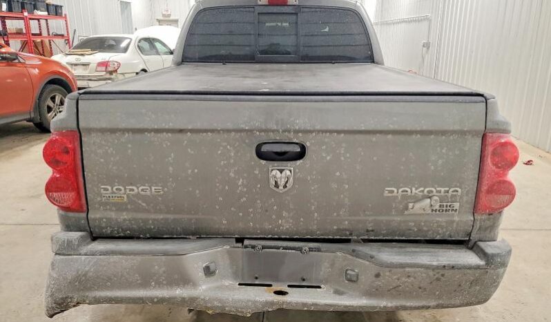
								2010 Dodge Dakota full									