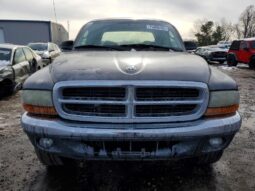 
										2002 Dodge Dakota full									